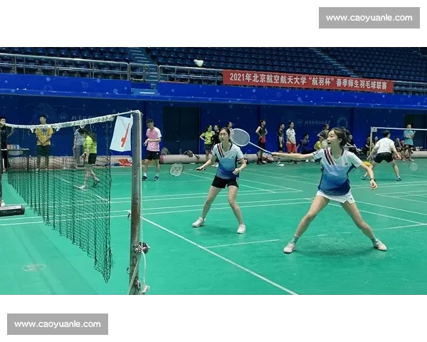 别只看比分!深入解读羽毛球比赛数据,洞察取胜之道